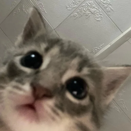 Sticker myluvf0ru - 1