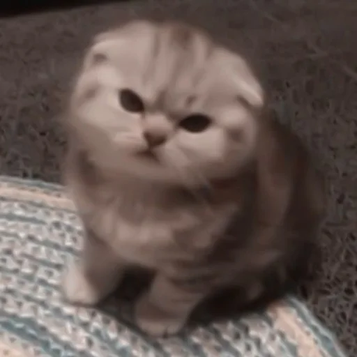 Sticker myluvf0ru - 1