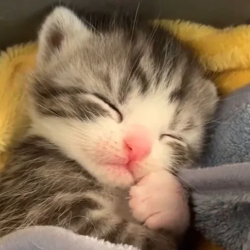 Sticker myluvf0ru - 1