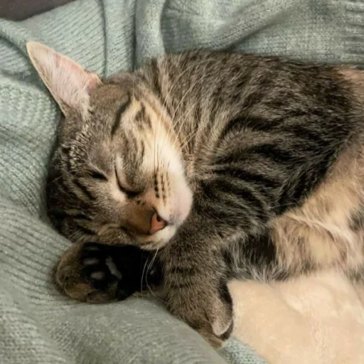 Sticker myluvf0ru - 1