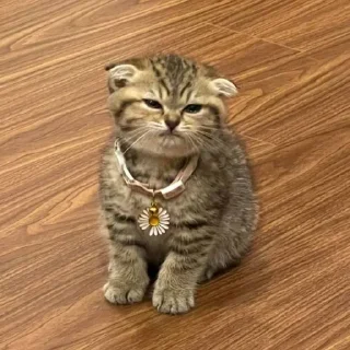 Sticker my luv for u!<з - 7