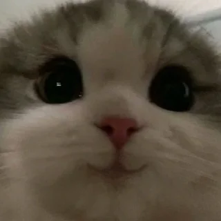 Sticker my luv for u!<з - 1