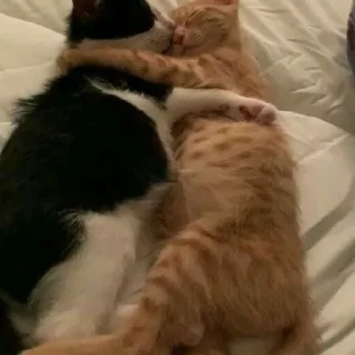 Sticker my luv for u!<з - 4