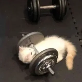 Sticker my luv for u!<з - 5