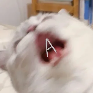 Sticker my luv for u!<з - 10