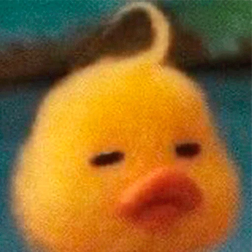 toy rubber ducky duck