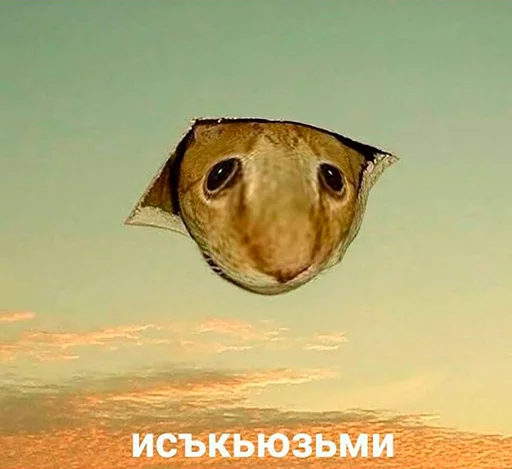 Sticker my half-memes pack - 9