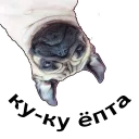 Стикер mypugs - 4