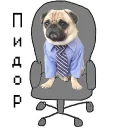 Стикер mypugs - 3