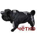 Стикер mypugs - 7