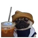 Стикер mypugs - 2