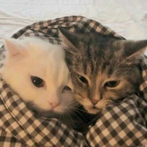 Sticker myrrrrrrrrrrrr - 1