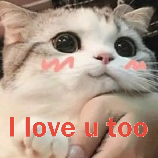 Стикер myrsyuvik - 1