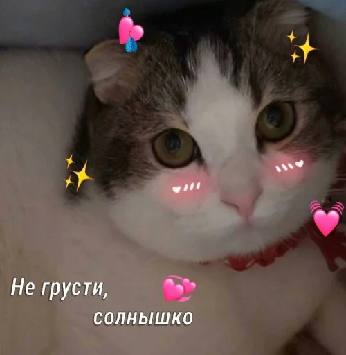 Стикер myschizophrenia - 1