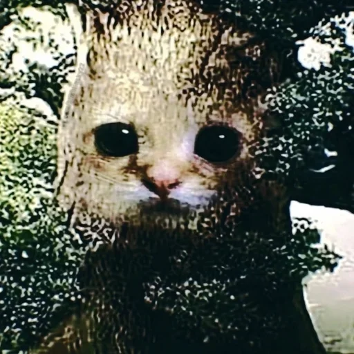 Sticker mysticaltreeTX - 1