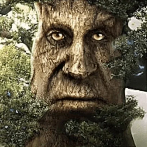 Sticker mysticaltreeTX - 1