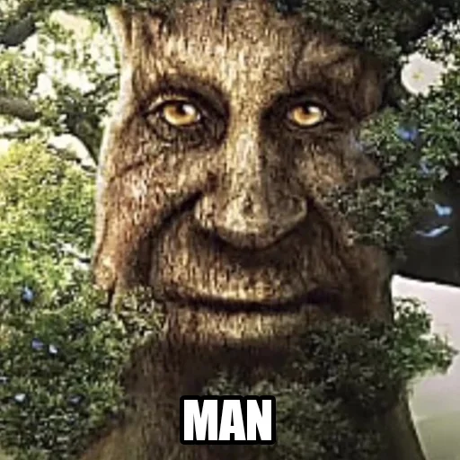 Стикер mysticaltreeTX - 1