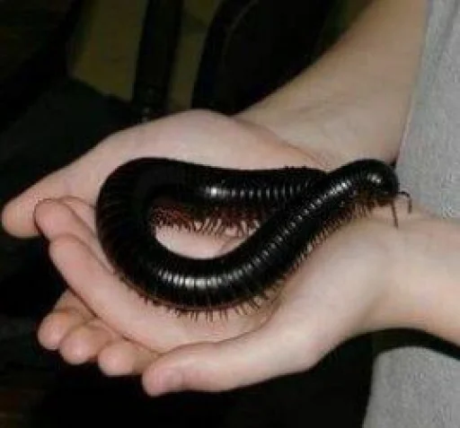 Sticker стикеры для джузо - 6