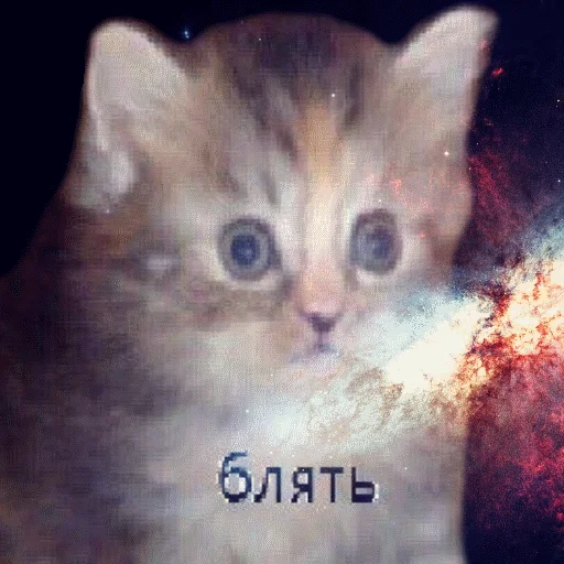 Sticker my stickers - 7