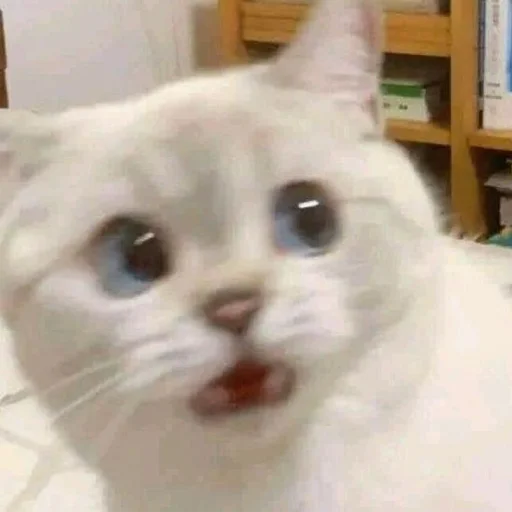 Стикер mystikerosik - 1