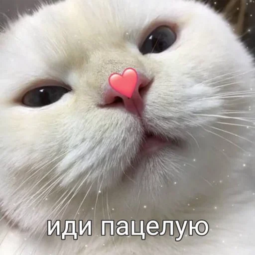 Стикер mystikerosik - 1