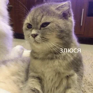 Стикер mystikerosi - 7