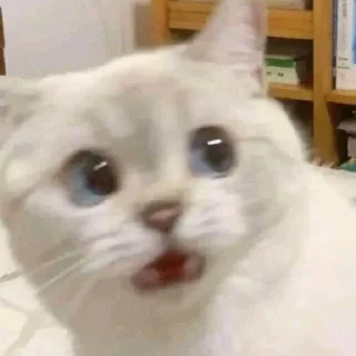 Стикер mystikerosi - 10