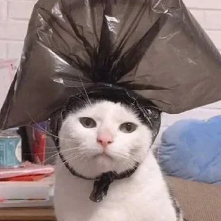 Стикер mystikerosi - 11