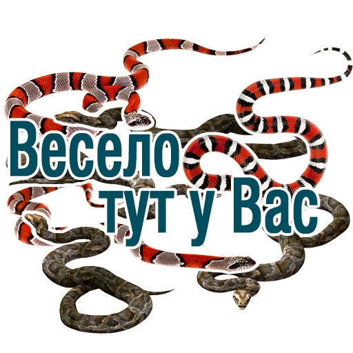 СМС мультфильм шрифт