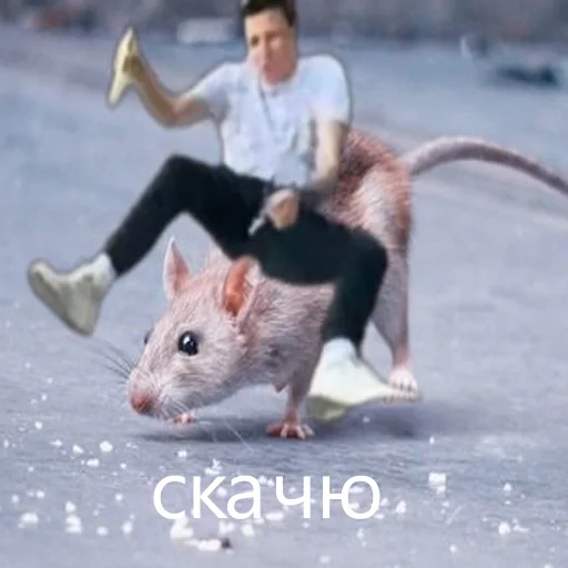 Стикер mzlff_cool - 1