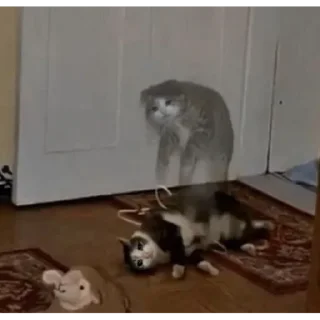 Sticker ФОТОЛУПЫ MZLLF - 6