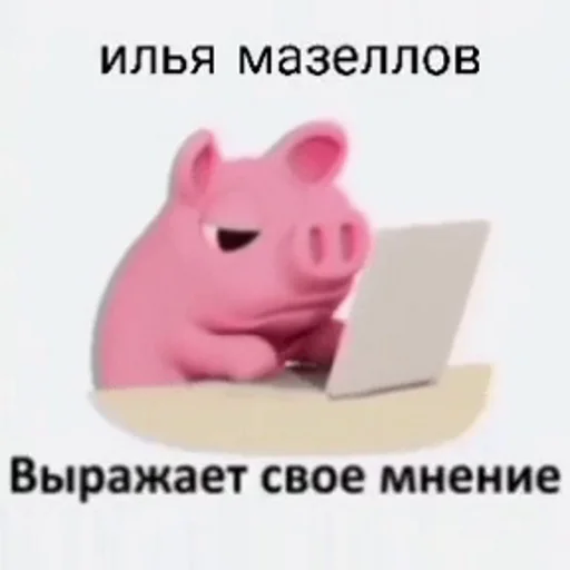 pig animal figure text
