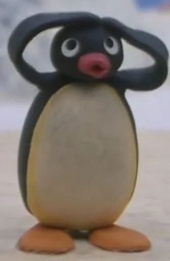 penguin aquatic bird bird