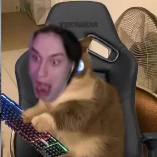 Стикер n3koglai - 5