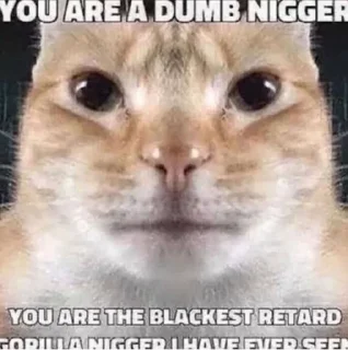 Стикер niggers (@CalsiBot) - 8