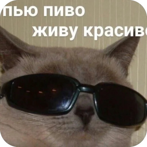 Стикер n9e0k1t - 1