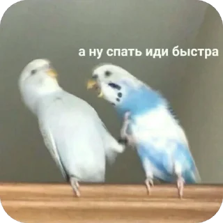 Sticker n9e0k1t - 10