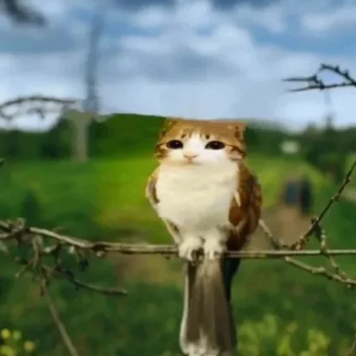 Больше стиков тут: @stikery4 - 