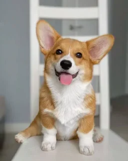 Sticker Избранные • @sticbot - 11