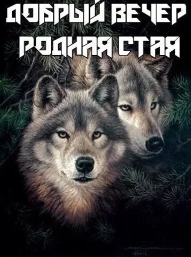 Sticker nAwCZHebltNqexTYZ_by_stickers_stealer_bot - 1