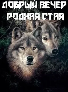 Sticker Создай свои стикеры - @sozdsti_bot - 5