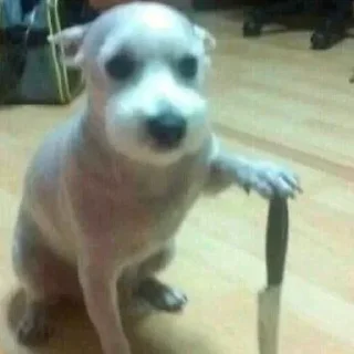 Sticker Больше стикеров: @sticerru - 8