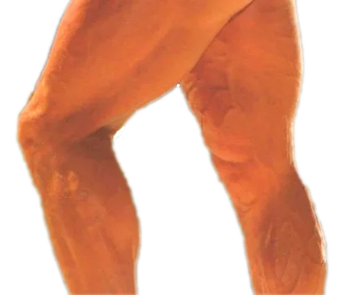 Стикер nDbGEhaBEr_by_stickers_stealer_bot - 1