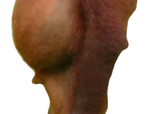 Sticker nDbGEhaBEr_by_stickers_stealer_bot - 1