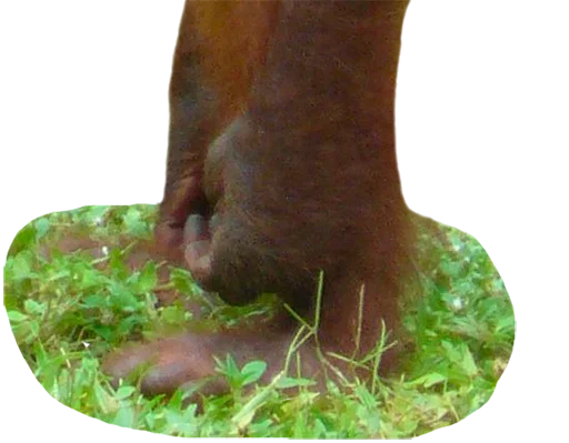 Sticker nDbGEhaBEr_by_stickers_stealer_bot - 1