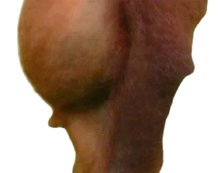 Sticker Больше стиков тут: @stikiin - 8