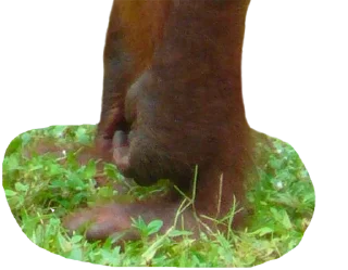 Sticker Больше стиков тут: @stikiin - 4