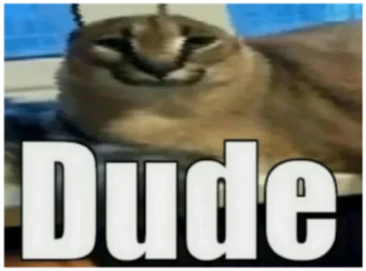 Sticker nEsSlOfcfqM_by_stickers_stealer_bot - 1