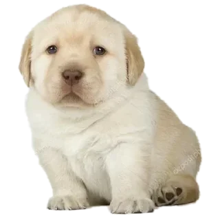 Sticker Создай свои стикеры - @sozdsti_bot - 4