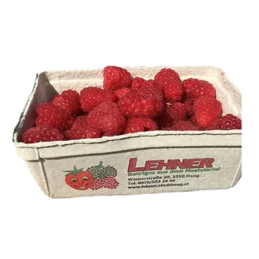 Стикер nFjONmI_by_achestickbot - 1